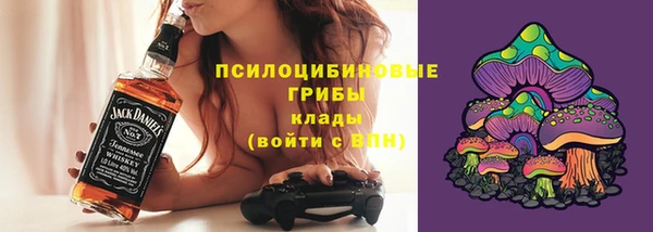 МДПВ Алексин
