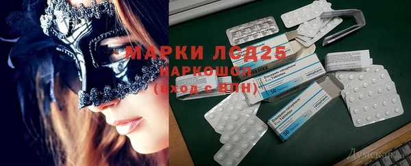 спайс Алзамай