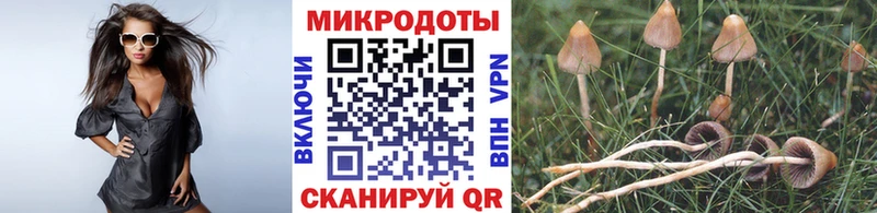 Галлюциногенные грибы Cubensis  omg ТОР  Клин 